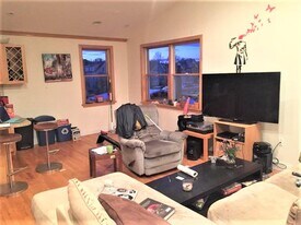 167 Pearl St, Unit 3 in Somerville, MA - Building Photo