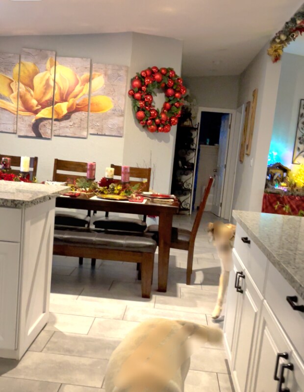 393 W 4th Ave in Sun Valley, NV - Building Photo - Building Photo