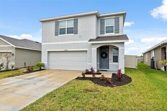 30845 Penny Surf Lp in Wesley Chapel, FL - Building Photo - Building Photo