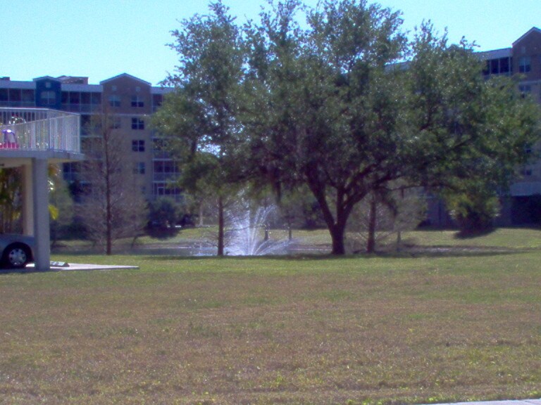 960 Starkey Rd, Unit 3302 in Largo, FL - Building Photo