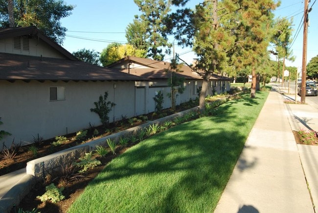 Monterey Pines in Brea, CA - Building Photo - Building Photo