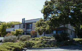 7 Grass Ct in Novato, CA - Building Photo