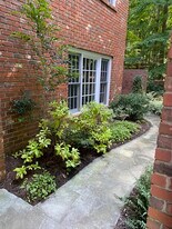 125A Wild Iris Ln, Unit Wild Iris in Chapel Hill, NC - Building Photo