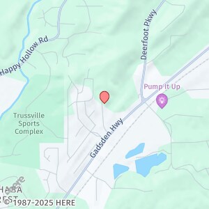 4579 Rock Creek Cir in Trussville, AL - Building Photo