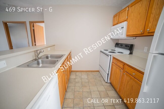 469 Spicer Street in Akron, OH - Building Photo - Building Photo