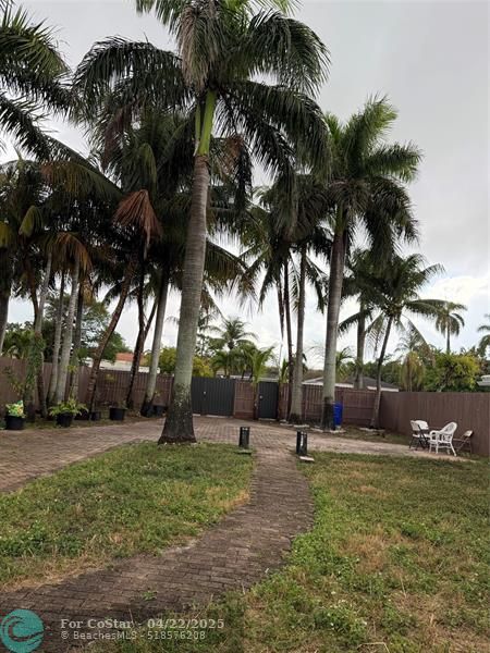 1817 Cleveland St in Hollywood, FL - Building Photo