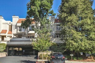 572 Pimlico Ct in Walnut Creek, CA - Building Photo