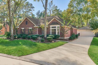 3 Amber Sky Pl in Spring, TX - Building Photo - Building Photo