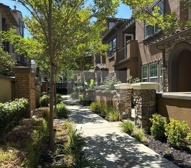 5262 Fioli Loop in San Ramon, CA - Building Photo - Building Photo