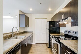 The Audrey at Belltown in Seattle, WA - Building Photo - Building Photo