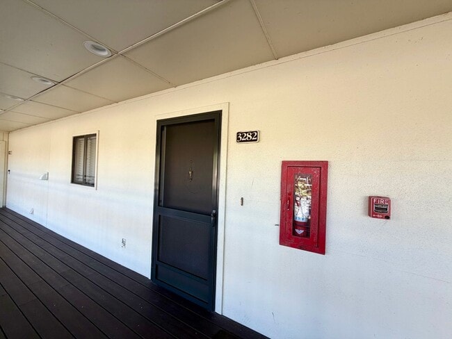 29230 Bay Hollow Dr in Zephyrhills, FL - Building Photo - Building Photo