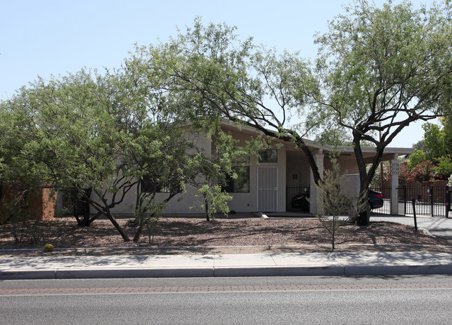 3716-3722 N Mountain Ave in Tucson, AZ - Building Photo - Building Photo