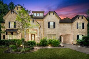 11306 Longmire Creek Ct in Conroe, TX - Building Photo