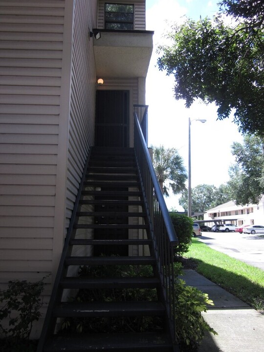 7831 Niagara Ave in Tampa, FL - Building Photo