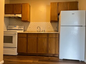 232-238 Elyria St in Lodi, OH - Building Photo - Building Photo