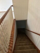 707 Riess Ln in Bates City, MO - Building Photo