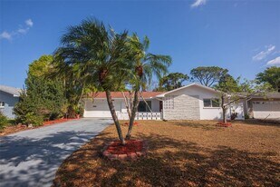 11343 87th Ave in Seminole, FL - Building Photo