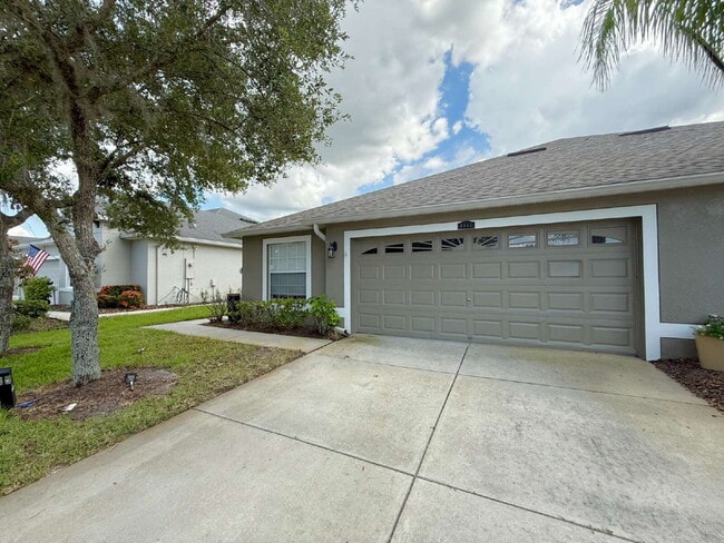 4447 Ashton Meadows Way in Wesley Chapel, FL - Building Photo - Building Photo
