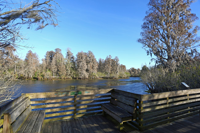 Apartamentos Alquiler en Seven Springs, FL