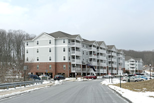 Conifer Village at Middletown (55+) Apartments