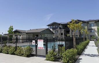 Cottonwood Creek Apartments in Suisun City, CA - Building Photo - Building Photo