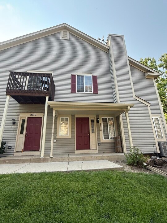 291 Windsor Ct in South Elgin, IL - Building Photo