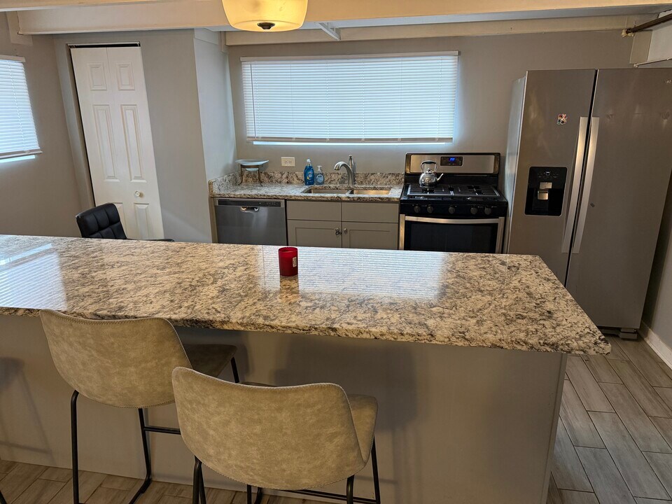 10144 S Wood St, Unit Basement in Chicago, IL - Building Photo