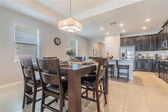 30927 Parrot Reef Ct in Wesley Chapel, FL - Building Photo - Building Photo