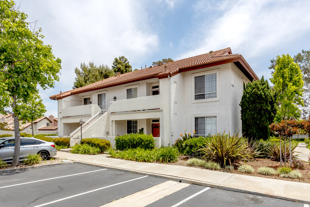 Canyon Bluffs in San Diego, CA - Building Photo