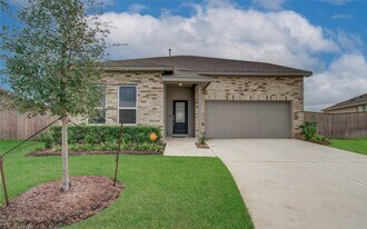 26503 Foxtail Fern Dr in Katy, TX - Building Photo