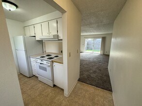 372-374-374 Annette Ct NE in Salem, OR - Building Photo - Building Photo