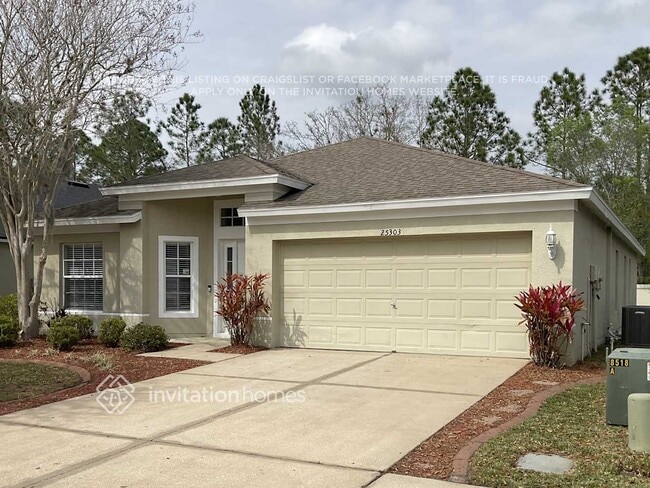 25303 Flying Ebony Ln in Wesley Chapel, FL - Foto de edificio - Building Photo