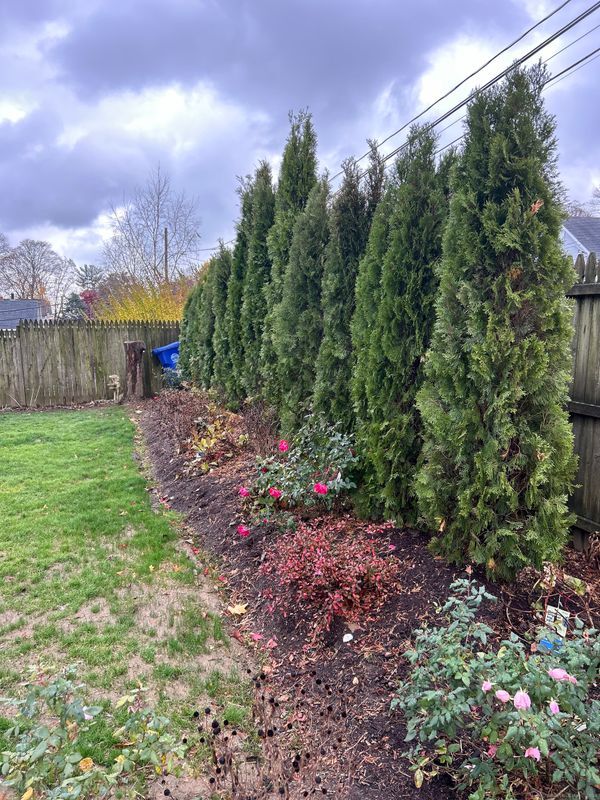 13 Leuvine St in Norwalk, CT - Building Photo - Building Photo