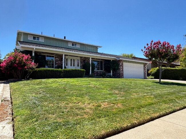 property at 475 Monti Cir