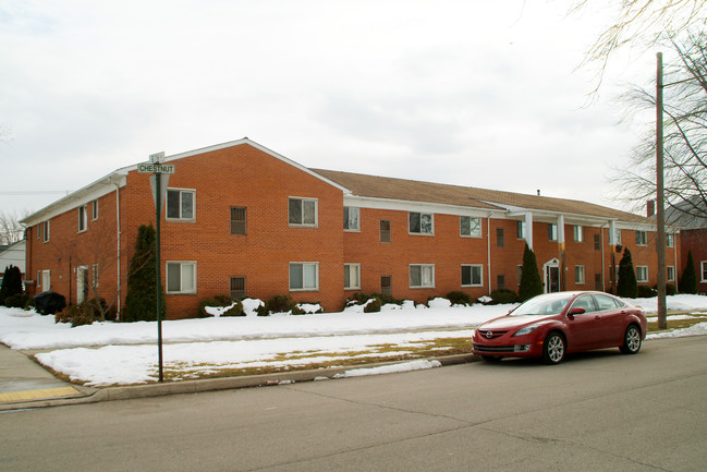 515 Chestnut St in Wyandotte, MI - Building Photo - Building Photo