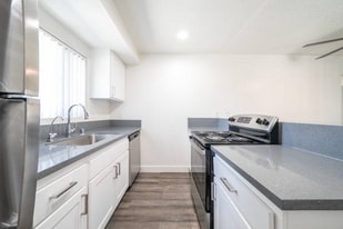 316 Smilax Rd in San Marcos, CA - Building Photo