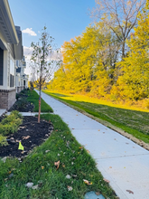 1794 Trinity Ln in Westfield, IN - Building Photo - Building Photo