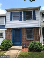 8317 Brookvale Ct in Springfield, VA - Building Photo