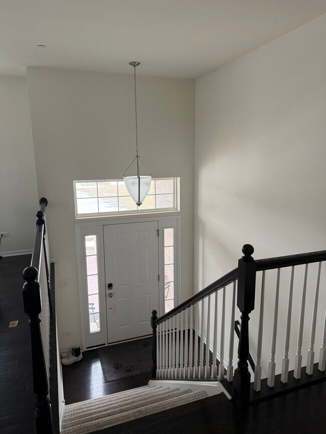 4194 Royal Mews Cir in Naperville, IL - Building Photo - Building Photo