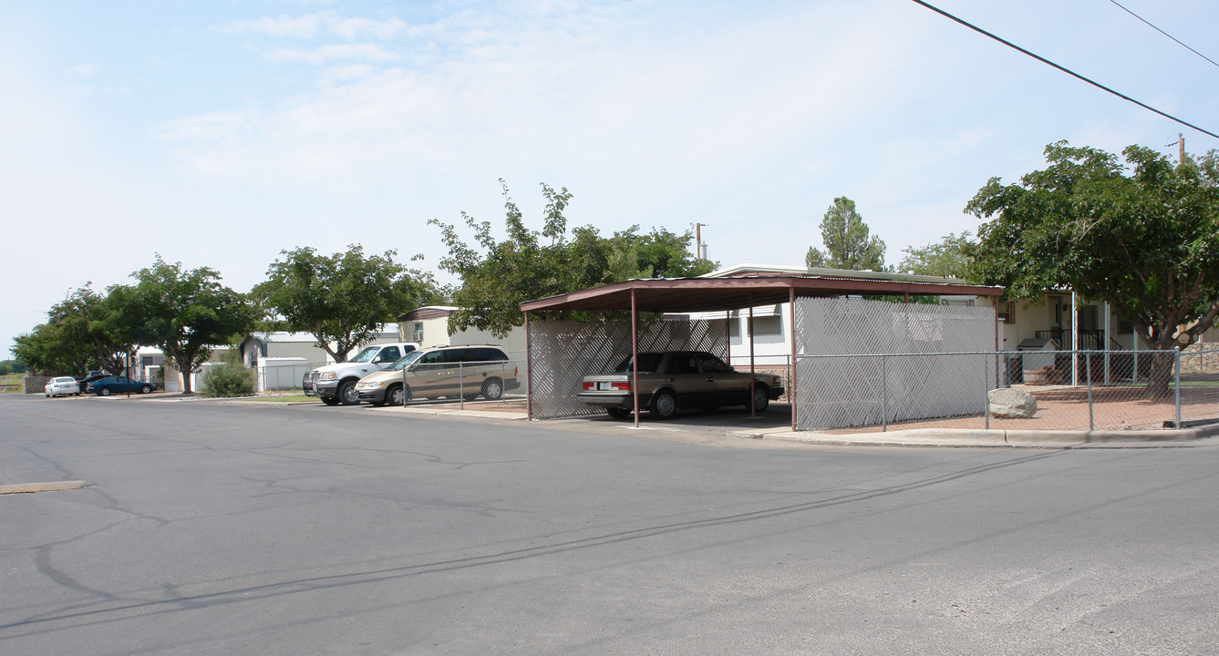 6161 Doniphan Dr in El Paso, TX - Building Photo