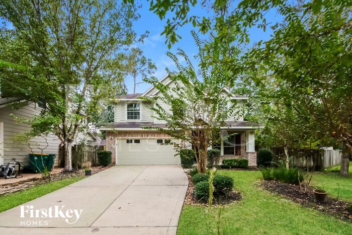 19 Cloud Bank Pl in Spring, TX - Building Photo