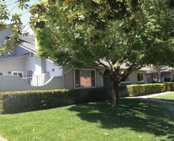 917 Tamarack Ln in Sunnyvale, CA - Foto de edificio - Other