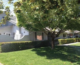 917 Tamarack Ln in Sunnyvale, CA - Building Photo - Other