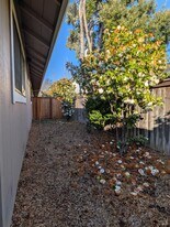 663 Spring Ln in Sonoma, CA - Building Photo