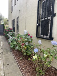 2980 26th Ave in San Francisco, CA - Foto de edificio - Building Photo