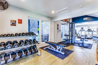 Balcones Club Apartments in Austin, TX - Building Photo - Building Photo