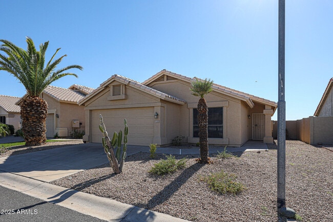 property at 11553 W King Snake Ct