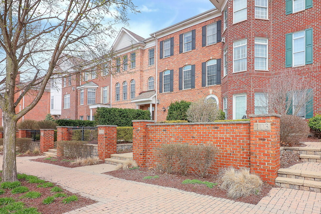 105 Spring Ave in Naperville, IL - Building Photo