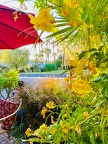 2100 N Sunshine Cir, Unit Sunshine in Palm Springs, CA - Building Photo