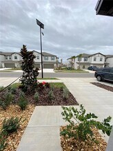 10373 Lavender Aster Trl in San Antonio, FL - Building Photo - Building Photo